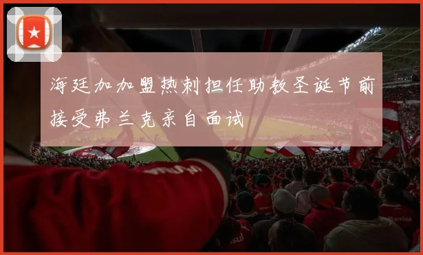 海廷加加盟热刺担任助教圣诞节前接受弗兰克亲自面试