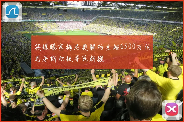 英媒曝塞梅尼奥解约金超6500万伯恩茅斯积极寻觅新援